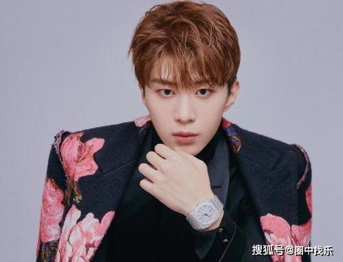 最新圈内爆料范丞丞,揭秘娱乐圈背后的故事